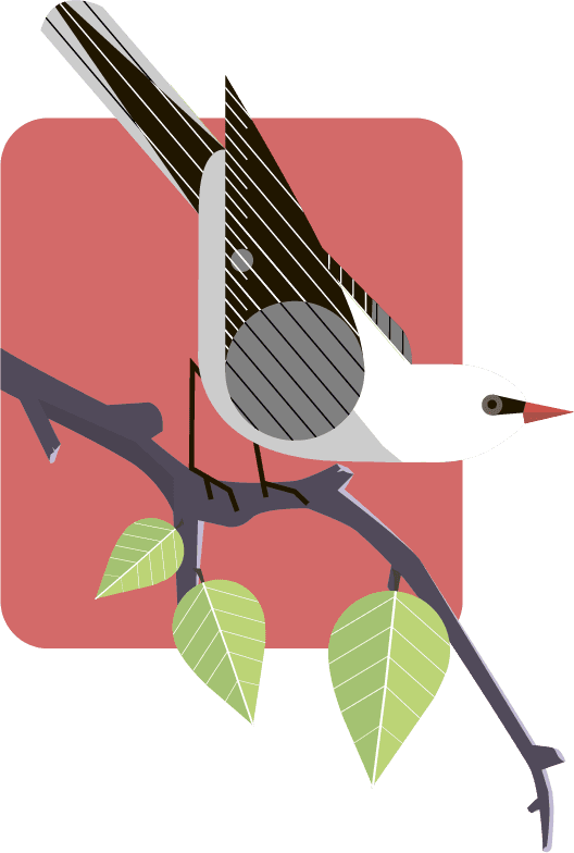 Bird on a branch