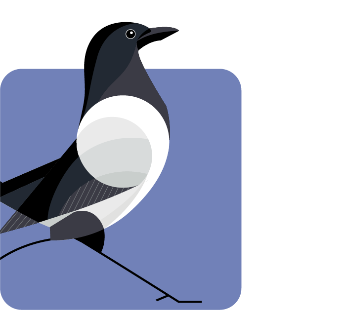Alliance Witan bird logo