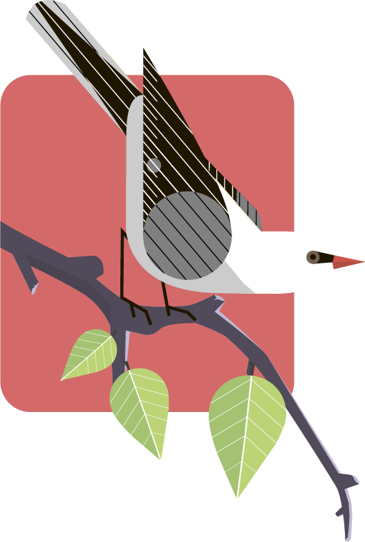 Bird on a branch